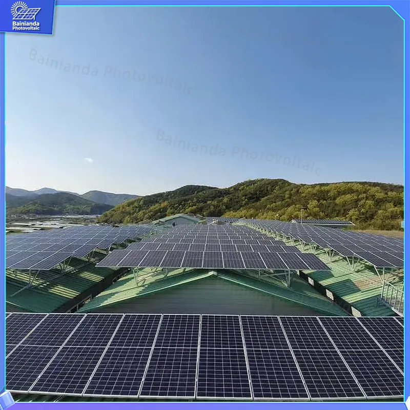 LONGi LR5-72HBD 535W 540W 545W - đánh giá và giá Longi Panel Lr5
